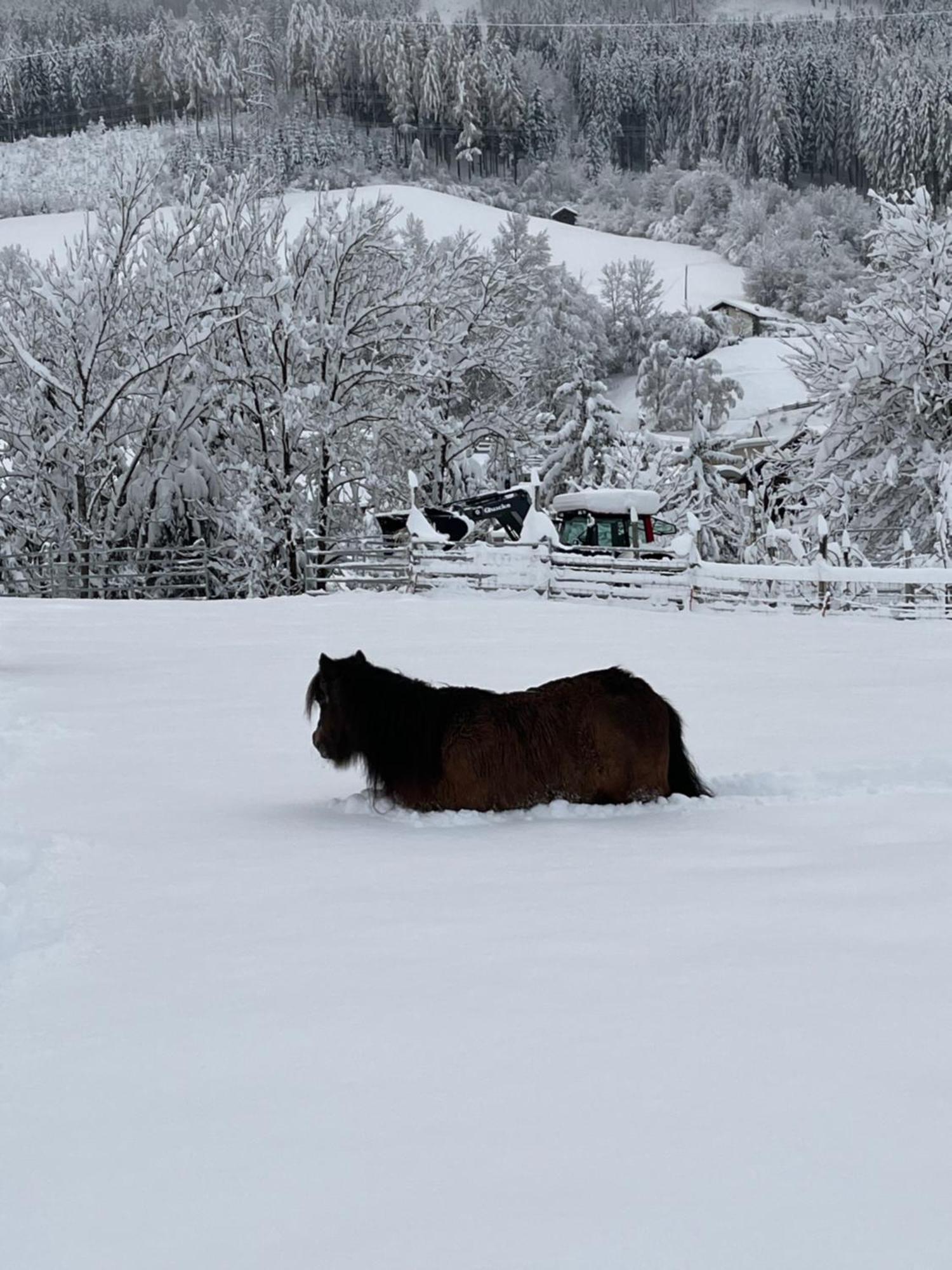 Ferienwohnung Familie Alt Rinn, Innsbruck Εξωτερικό φωτογραφία